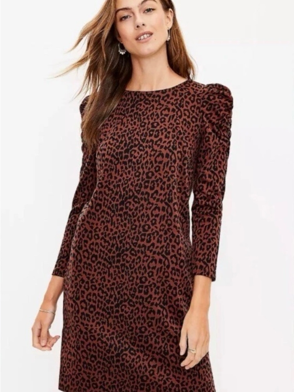 New without Tags (NWOT) LOFT Brown Leopard-Print Long Sleeve Shift Dress Size XL